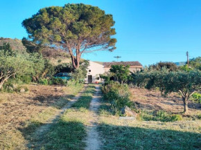 Rustico in campagna a due passi dal mare - Scopello, Castellammare Del Golfo